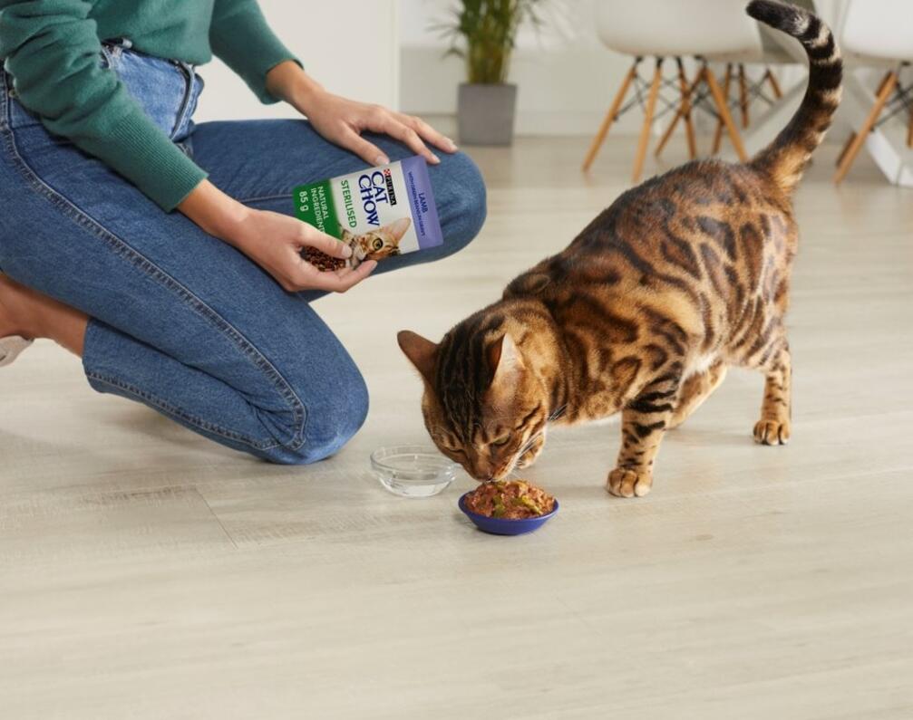 | CAT CHOW    | Purina GR